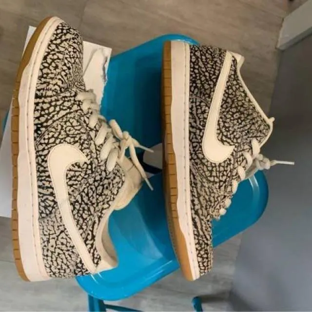 Nike sb toad dunk